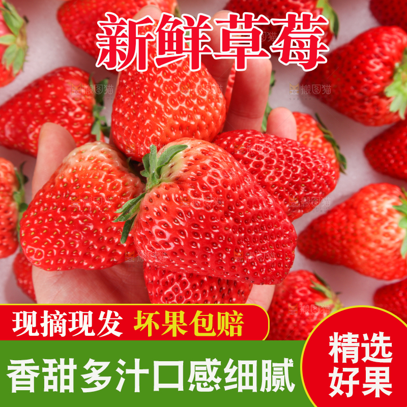 手里拿着新鲜草莓