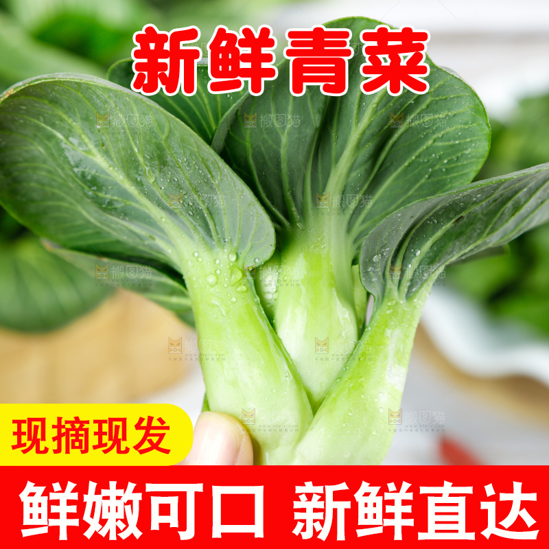 木板上摆放着农家青菜