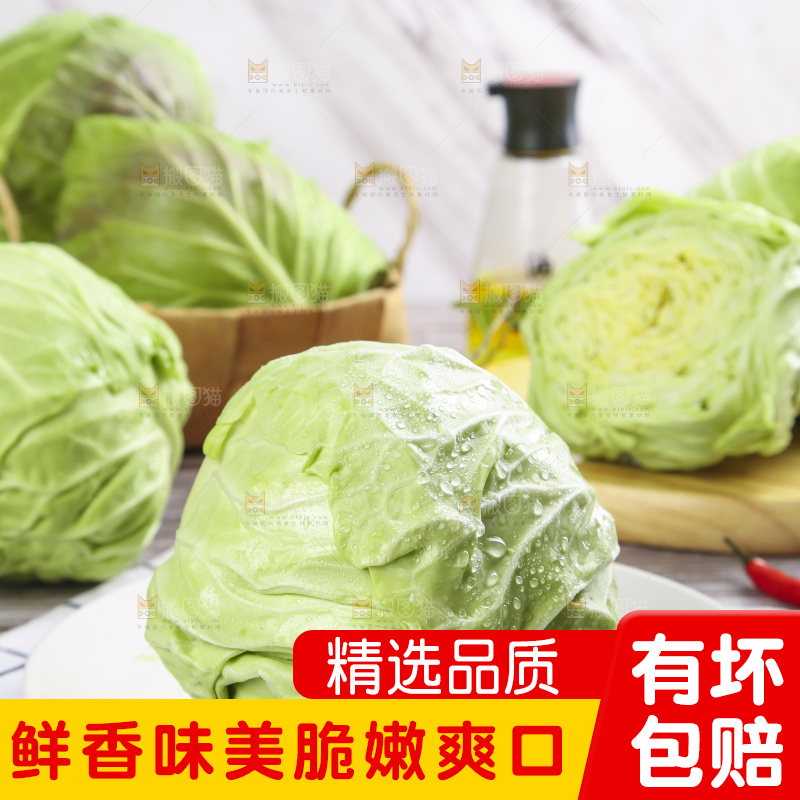 白格子底上的甘蓝包菜
