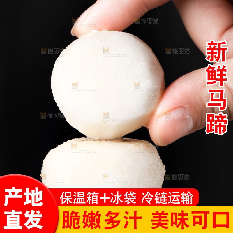 深底上的广西荔浦马蹄