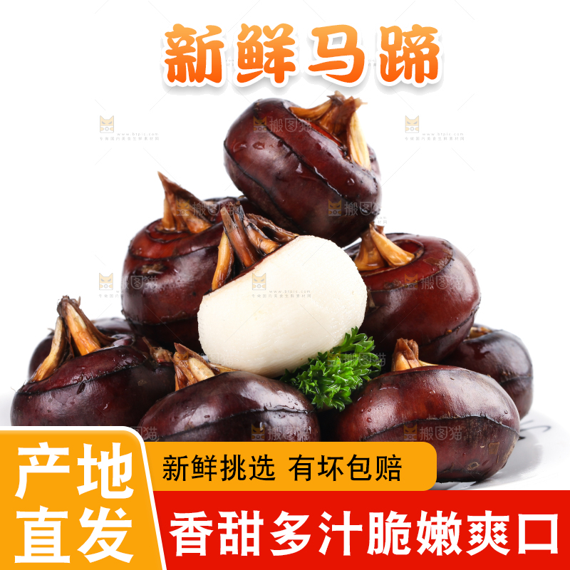 白底上摆放着乐昌北乡马蹄