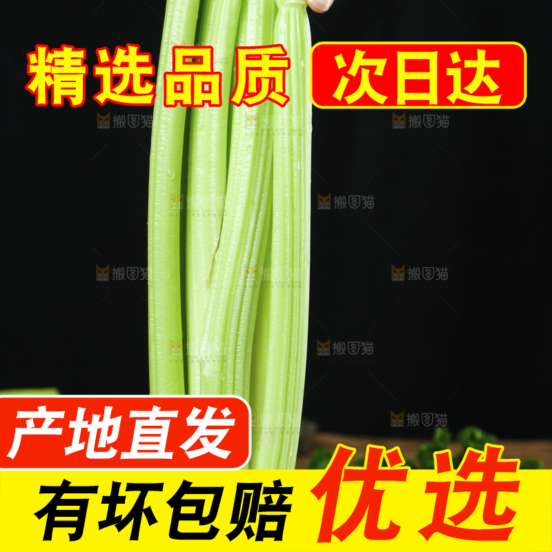 木板上的山东西芹