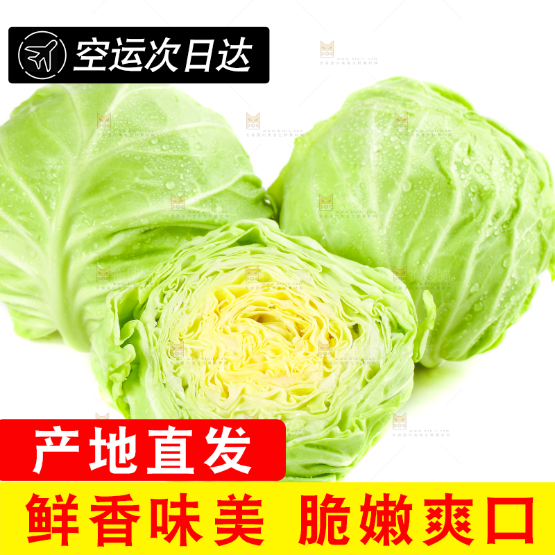 白底上摆放着包菜