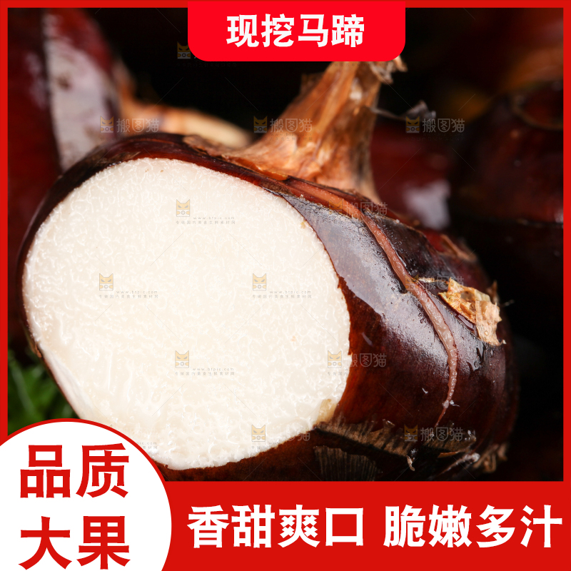 深底上的广西荔浦马蹄