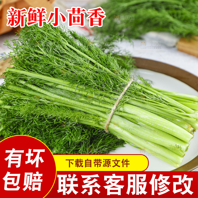 盘子里装着农家茴香菜