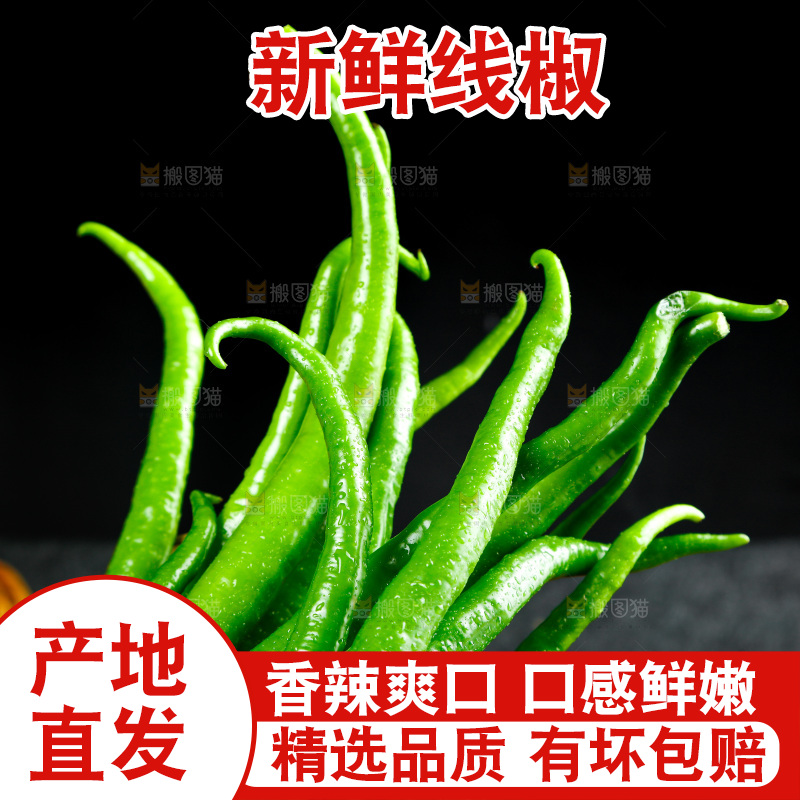 黑底上的新鲜青线椒