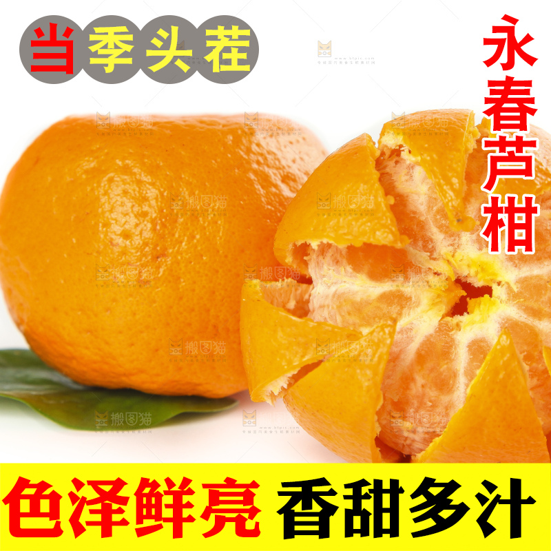 白底上的椪柑橘
