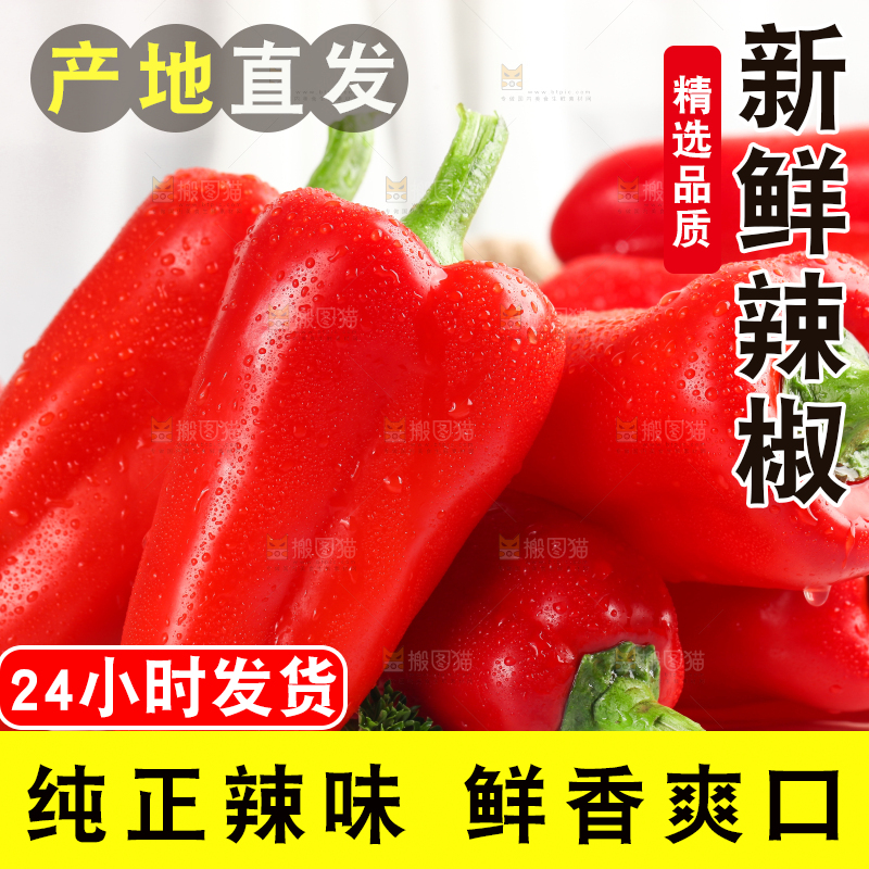 石板上的山东红辣椒