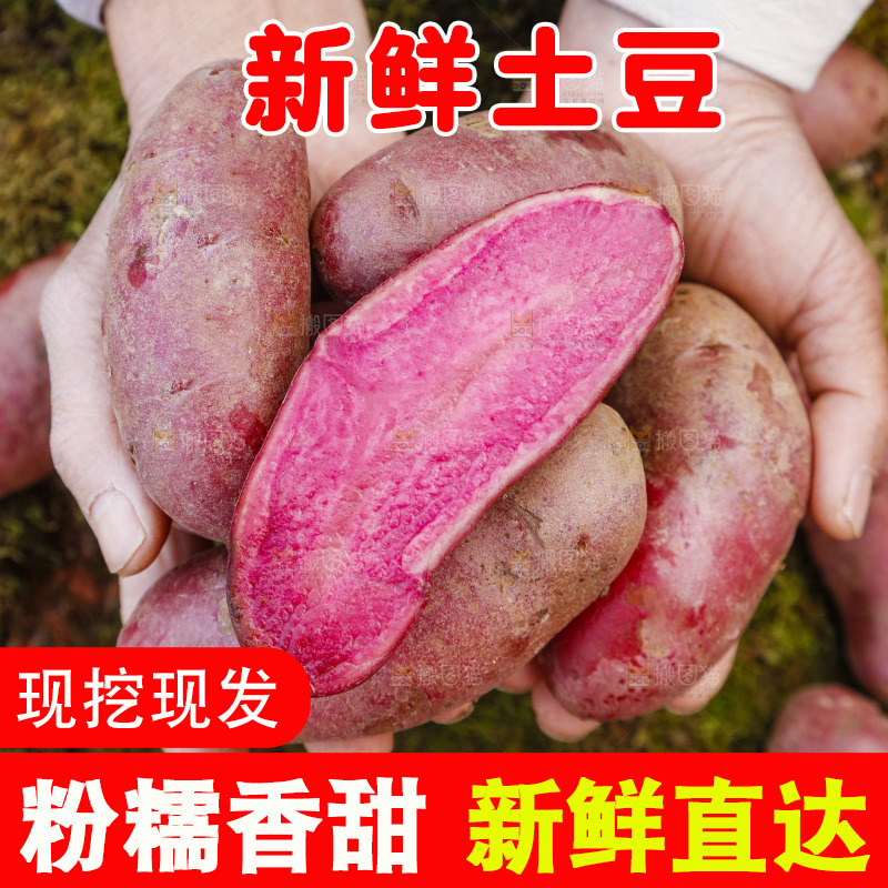 手里拿着新鲜红土豆
