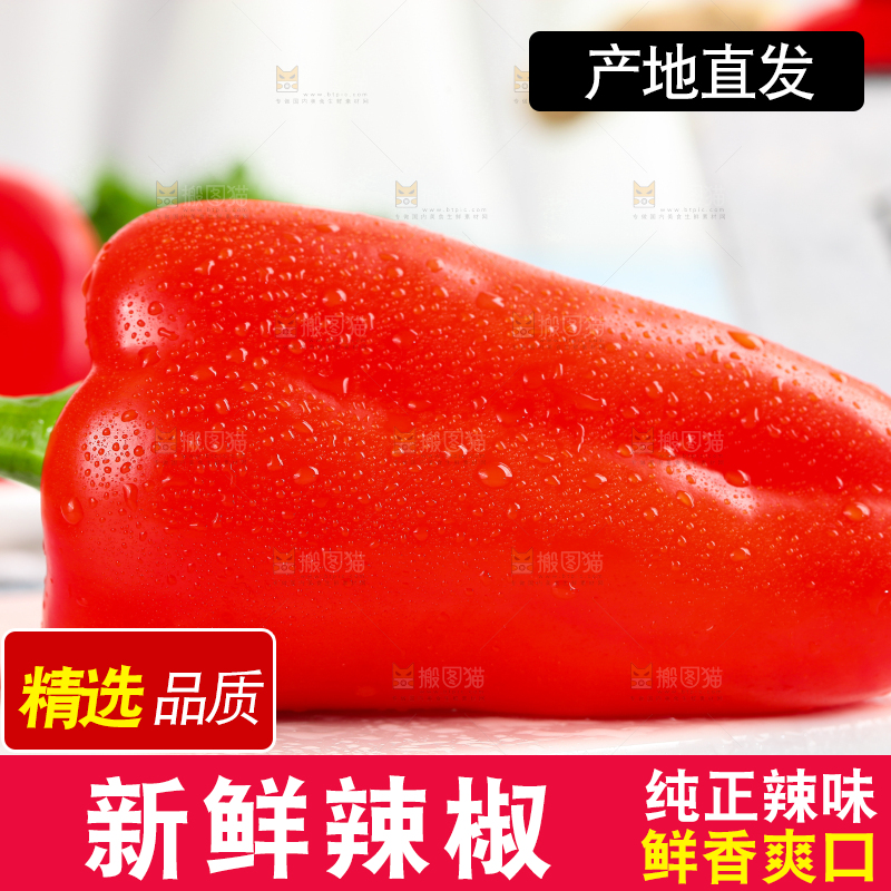 石板上的山东红辣椒