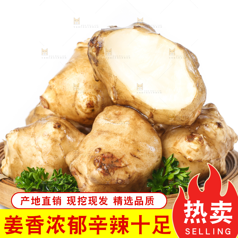 白底上的陕北高原洋姜