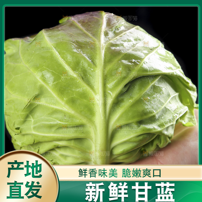 手里拿着洋白菜