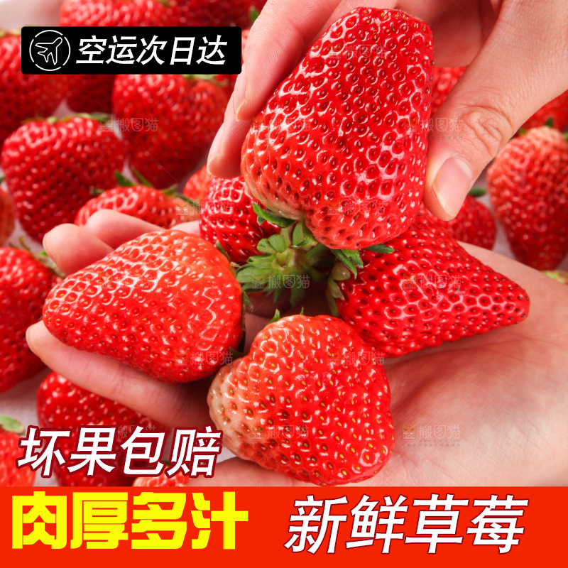 手里拿着新鲜草莓