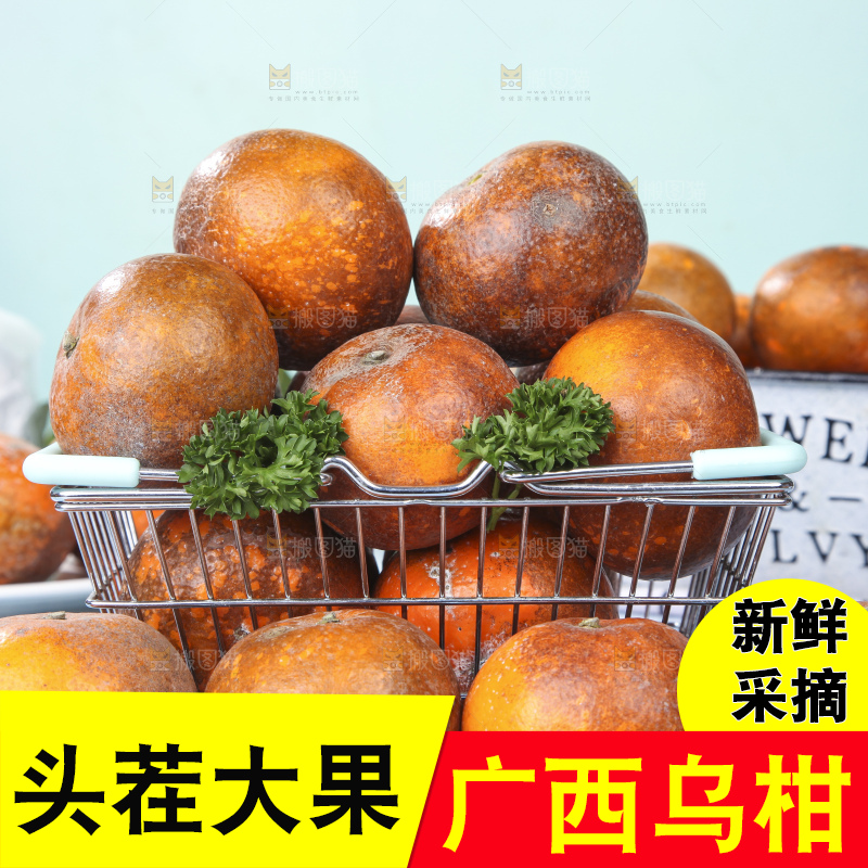 蓝底上摆放着乌柑