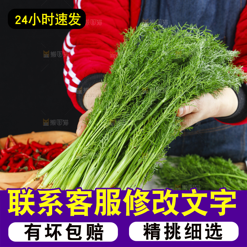 篮子里装着新鲜茴香菜
