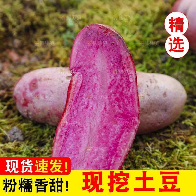 草地上放着红色马铃薯