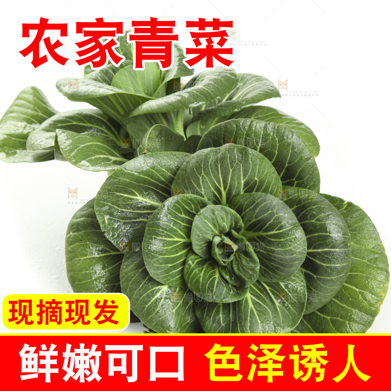 白底上放着上海青
