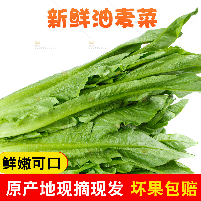 白底上放着油麦菜