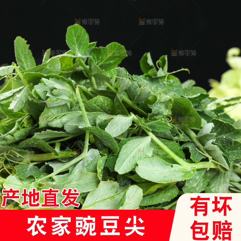 木板上放着农家豌豆尖