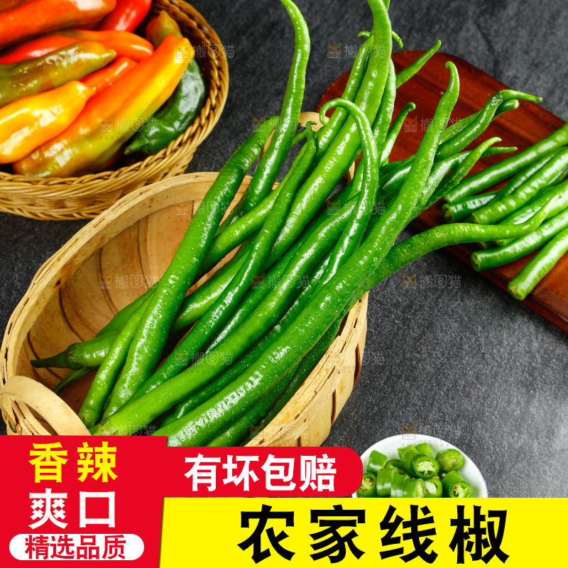 黑底上的新鲜青线椒