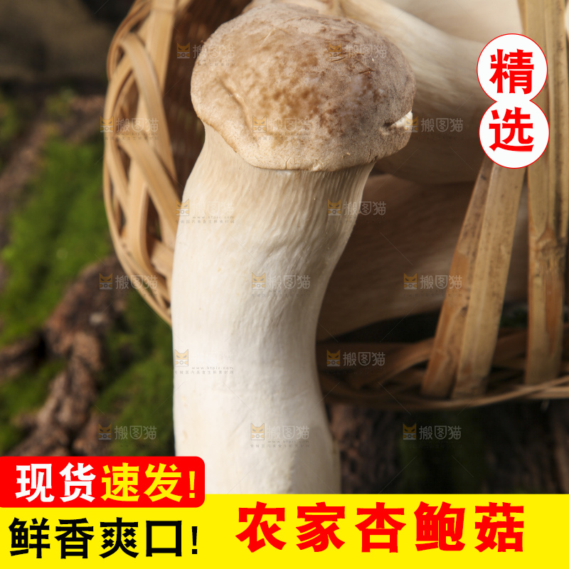 篮子里放着大鸡腿菇