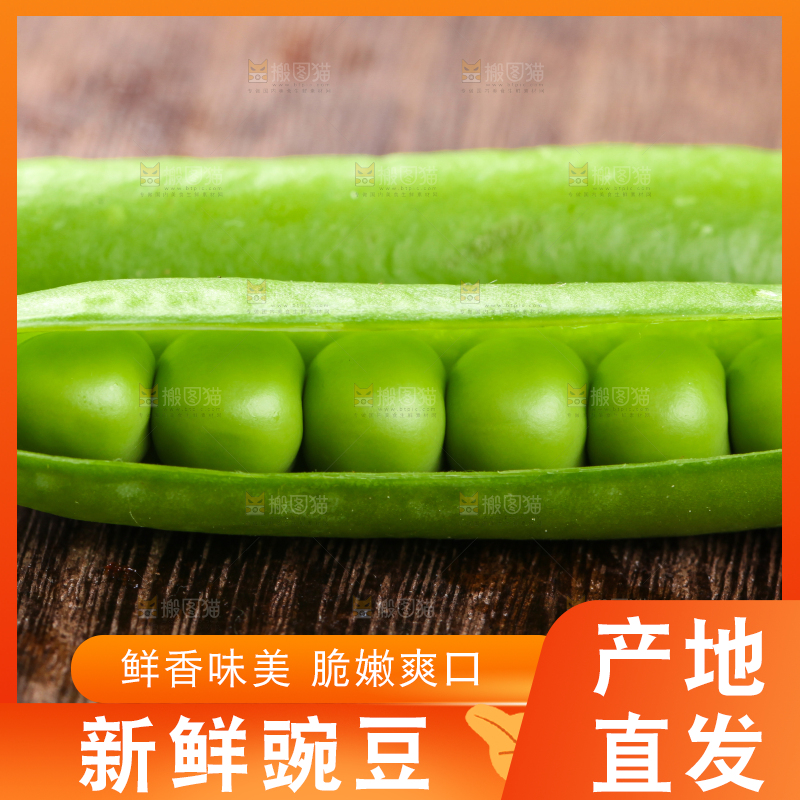 木底上的云南豌豆