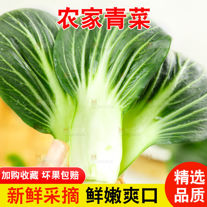 手里拿着新鲜青菜