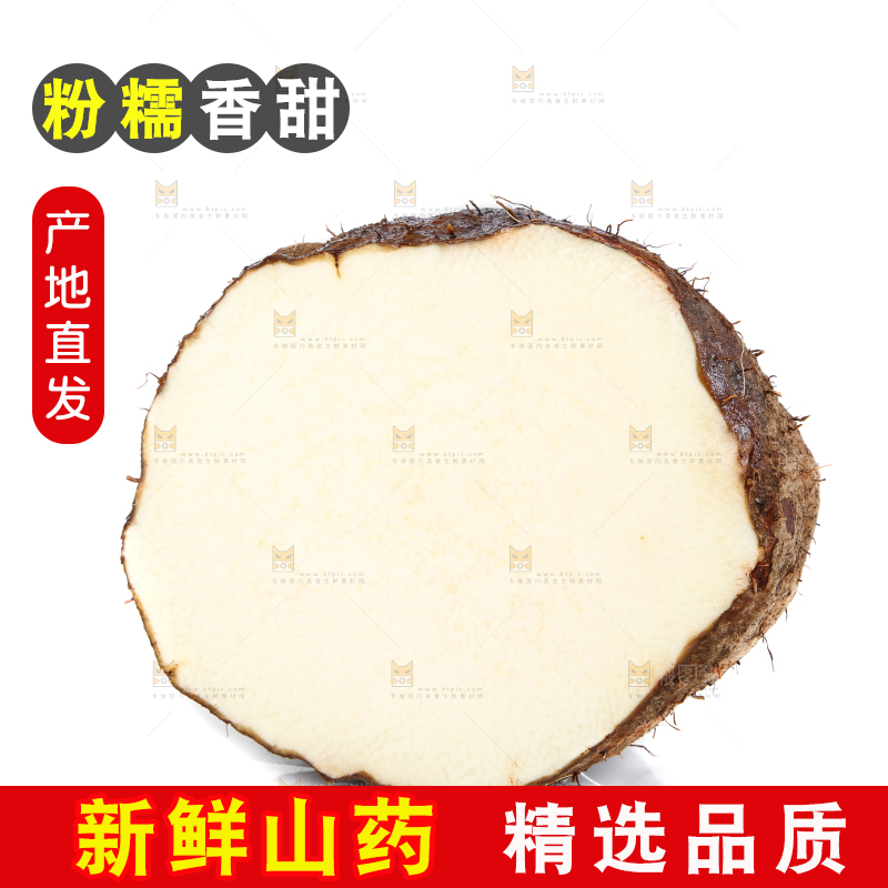 白底上的糯米金秤砣山药