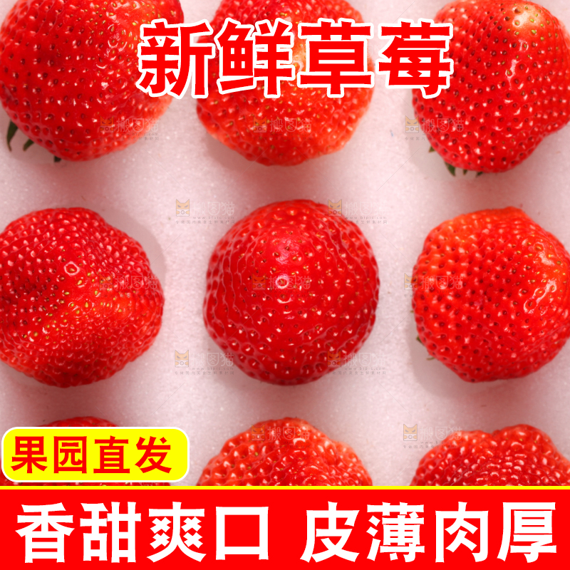 白底上放着一箱新鲜草莓