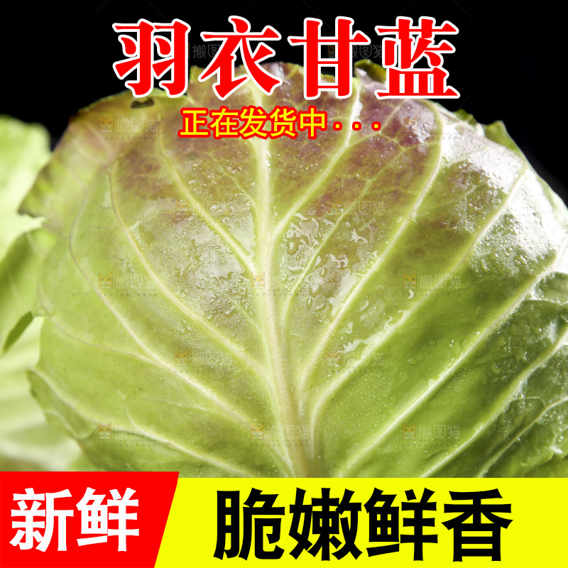 篮子里装着绿甘蓝