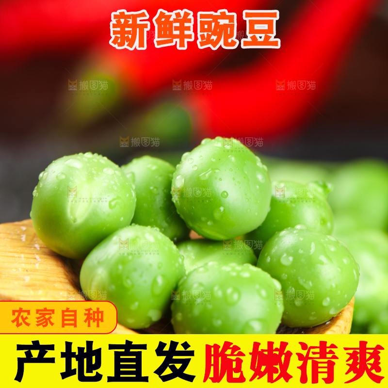 勺子里的新鲜豌豆粒