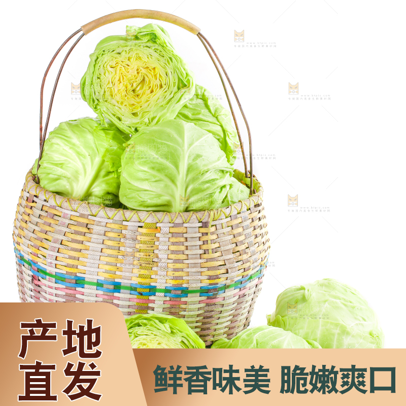 篮子里装绿甘蓝
