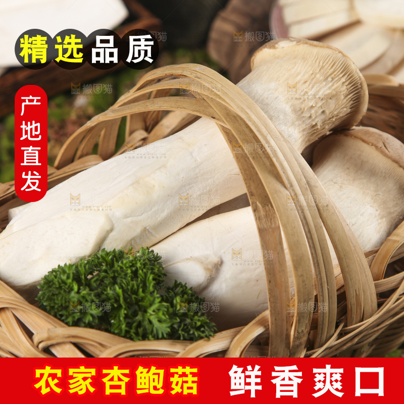 篮子里放着大鸡腿菇