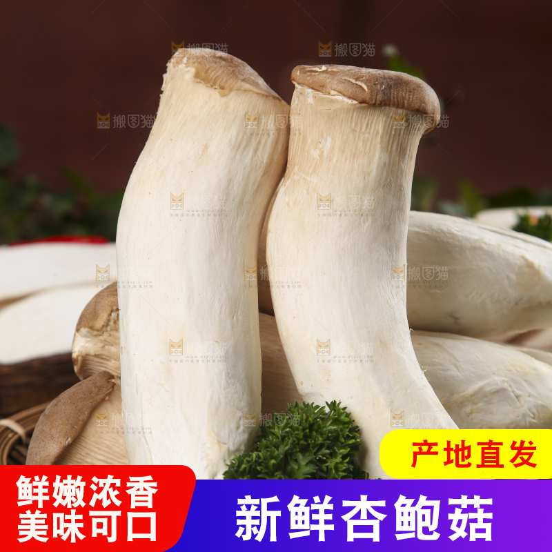 盘子上的农家杏鲍菇