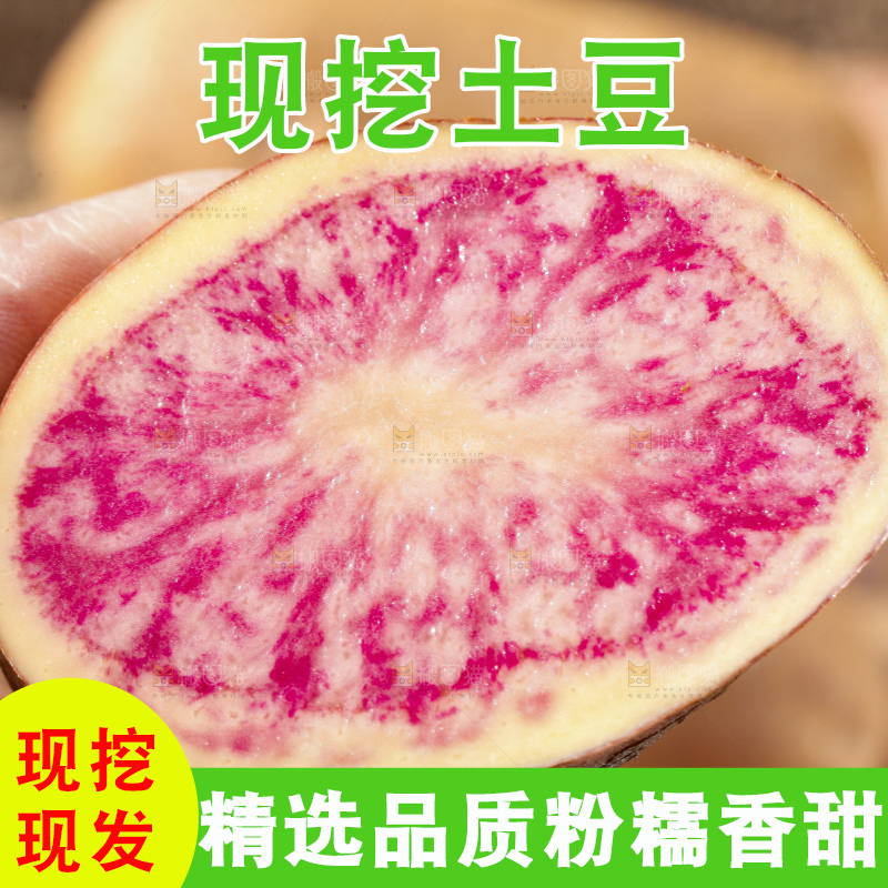 沙地里的彩色土豆