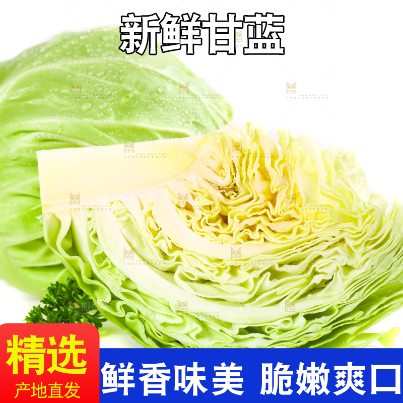 白底上摆放着包菜