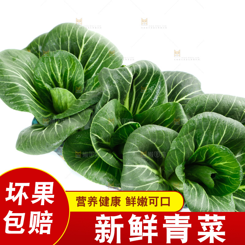 白底上的绿叶菜