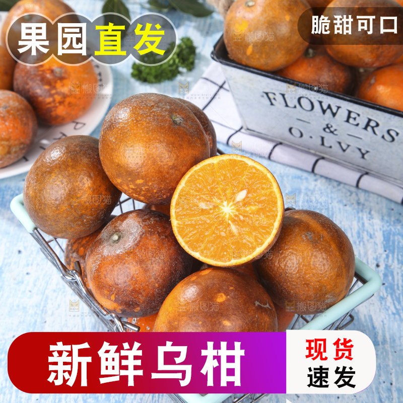盘子里的武鸣乌柑