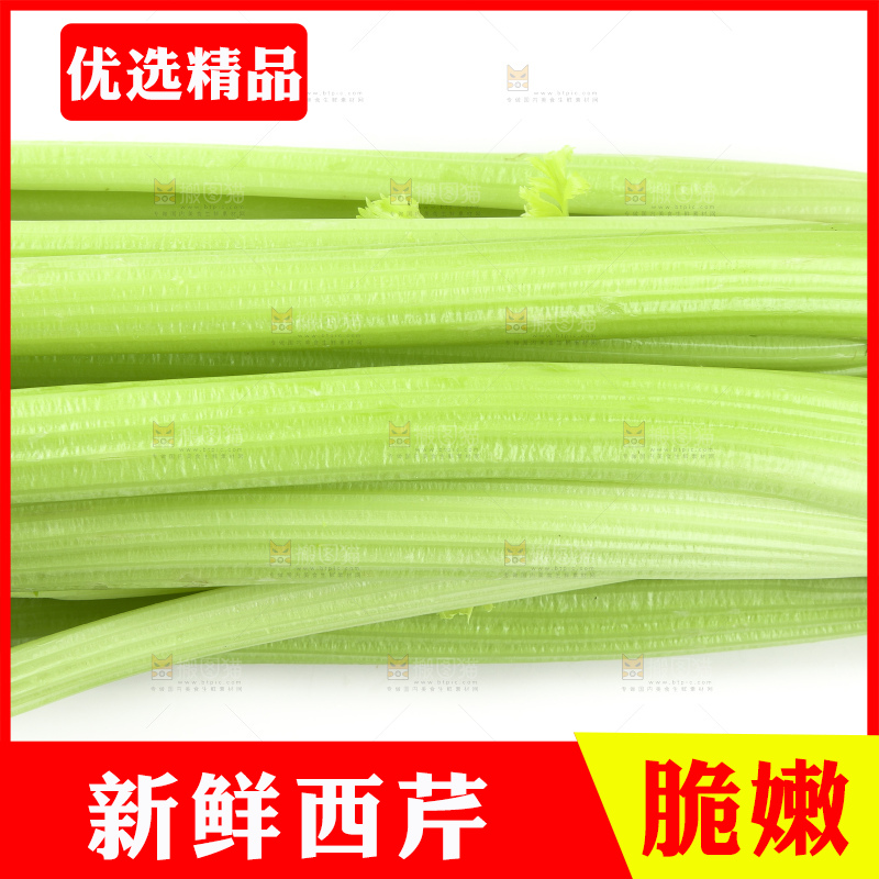 白底上的山东西芹