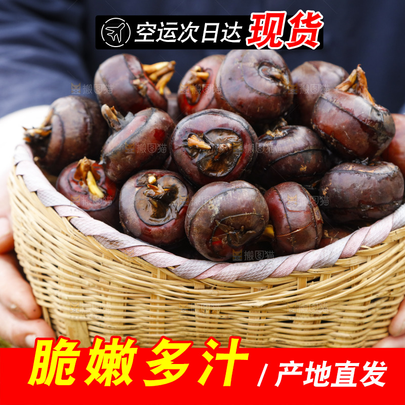 篮子里装着广西马蹄