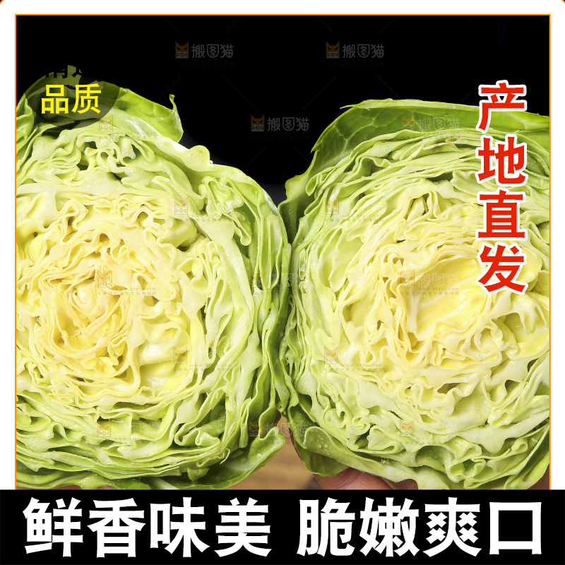 手里拿着洋白菜