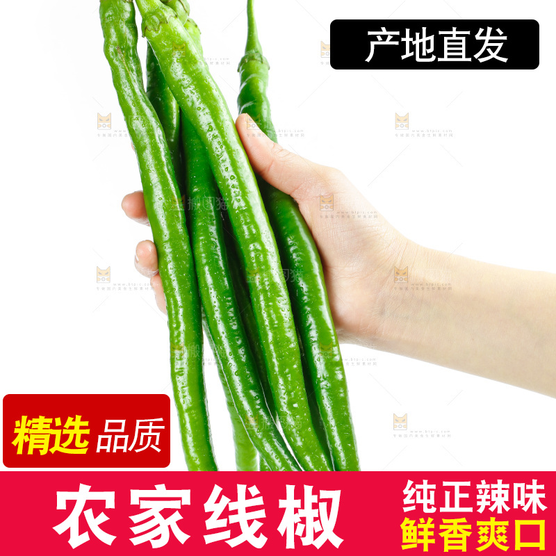 手里拿着二荆条辣椒