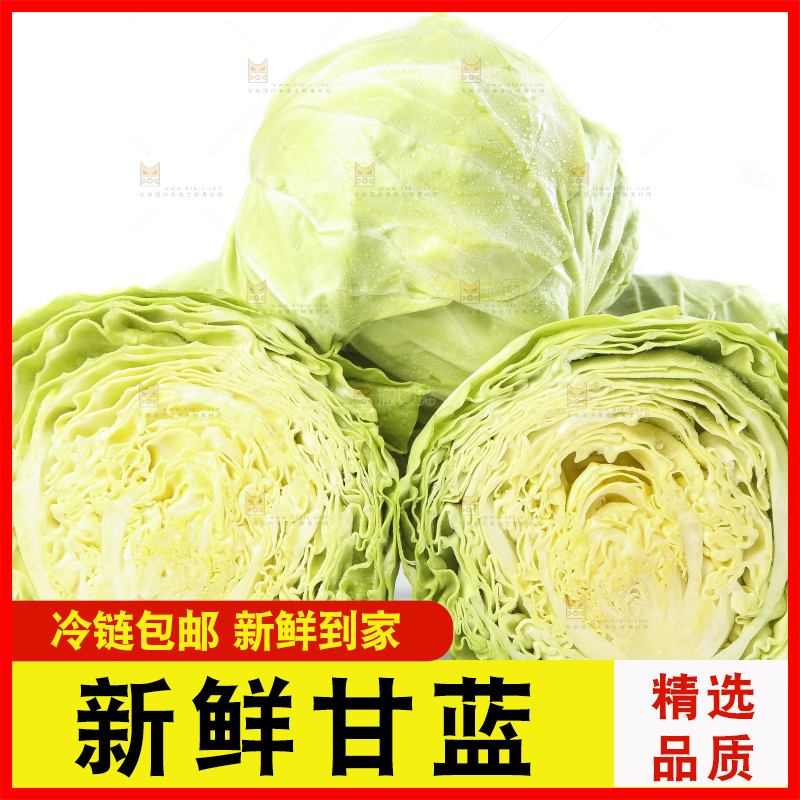 白底上的甘蓝包菜
