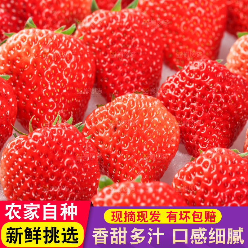 白底上放着一箱新鲜草莓