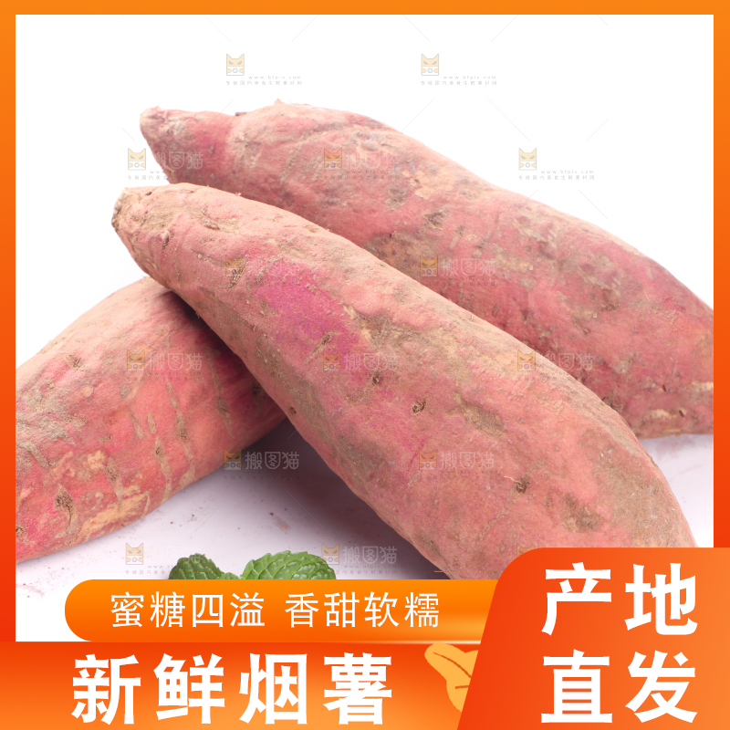 白底上蜜署