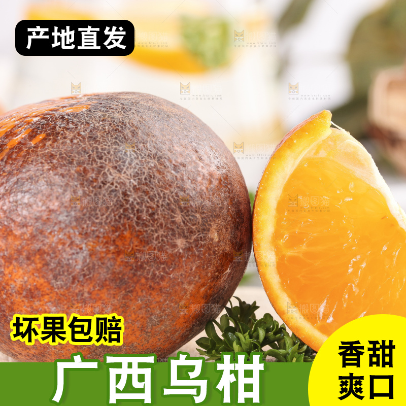 板子上摆放着广西乌柑