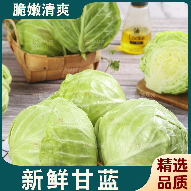 盘子里装着包心菜
