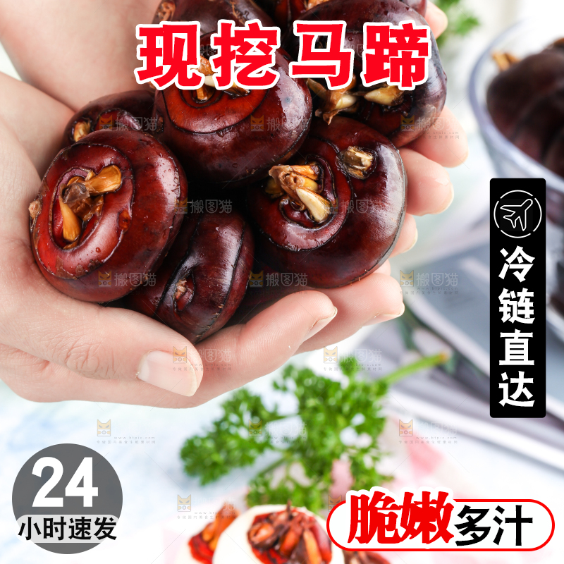 手里捧着农家马蹄