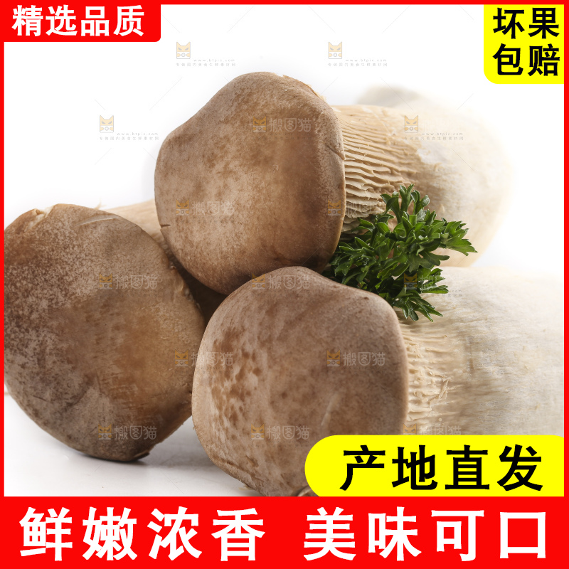白底上放着大鸡腿菇