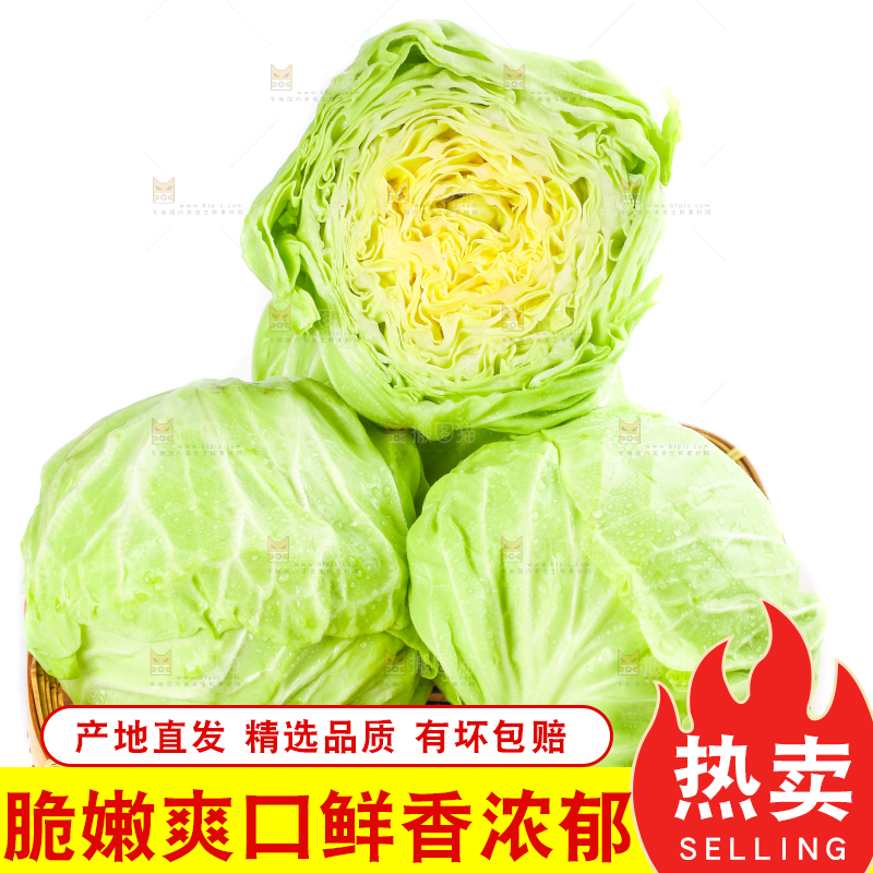 篮子里装绿甘蓝